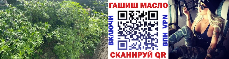 ТГК THC oil  Белёв 