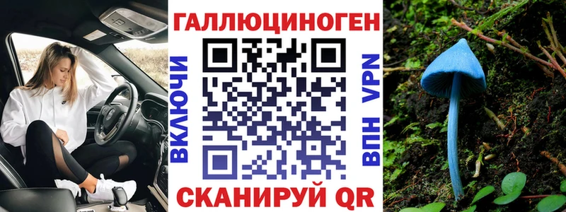 Псилоцибиновые грибы Psilocybine cubensis Белёв